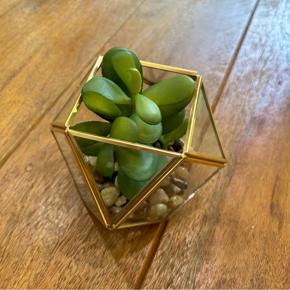 Opalhouse Filled Terrarium